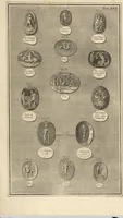 Picture 59 of 62 from Mvsevm Richterianvm: continens fossilia animalia vegetabilia mar. (1743), leaf 489