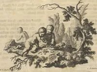 An illustration from Mvsevm Richterianvm: continens fossilia animalia vegetabilia mar. (1743)
