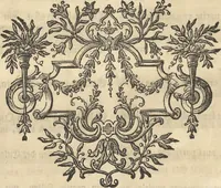An illustration from Mvsevm Richterianvm: continens fossilia animalia vegetabilia mar. (1743)