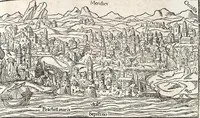 Picture 29 of 122 from Heydenweldt Vnd [und] irer Götter anfängcklicher vrsprung [Ursprung]: durch was verwhänungen den selben etwas vermeynter macht zugemessen, vmb dero wille[n], sie von den alten verehert worden ... (1554), leaf 359