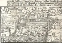 Picture 30 of 122 from Heydenweldt Vnd [und] irer Götter anfängcklicher vrsprung [Ursprung]: durch was verwhänungen den selben etwas vermeynter macht zugemessen, vmb dero wille[n], sie von den alten verehert worden ... (1554), leaf 360