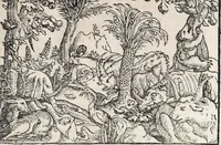 An illustration from Heydenweldt Vnd [und] irer Götter anfängcklicher vrsprung [Ursprung]: durch was verwhänungen den selben etwas vermeynter macht zugemessen, vmb dero wille[n], sie von den alten verehert worden ... (1554)
