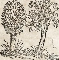 Picture 42 of 122 from Heydenweldt Vnd [und] irer Götter anfängcklicher vrsprung [Ursprung]: durch was verwhänungen den selben etwas vermeynter macht zugemessen, vmb dero wille[n], sie von den alten verehert worden ... (1554), leaf 389
