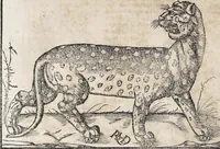 An illustration from Heydenweldt Vnd [und] irer Götter anfängcklicher vrsprung [Ursprung]: durch was verwhänungen den selben etwas vermeynter macht zugemessen, vmb dero wille[n], sie von den alten verehert worden ... (1554)