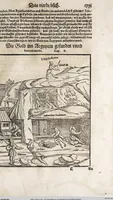 Picture 51 of 122 from Heydenweldt Vnd [und] irer Götter anfängcklicher vrsprung [Ursprung]: durch was verwhänungen den selben etwas vermeynter macht zugemessen, vmb dero wille[n], sie von den alten verehert worden ... (1554), leaf 405