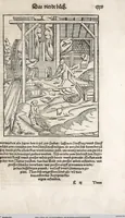 Picture 55 of 122 from Heydenweldt Vnd [und] irer Götter anfängcklicher vrsprung [Ursprung]: durch was verwhänungen den selben etwas vermeynter macht zugemessen, vmb dero wille[n], sie von den alten verehert worden ... (1554), leaf 409