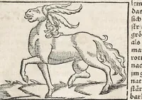 An illustration from Heydenweldt Vnd [und] irer Götter anfängcklicher vrsprung [Ursprung]: durch was verwhänungen den selben etwas vermeynter macht zugemessen, vmb dero wille[n], sie von den alten verehert worden ... (1554)