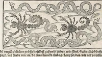 Picture 61 of 122 from Heydenweldt Vnd [und] irer Götter anfängcklicher vrsprung [Ursprung]: durch was verwhänungen den selben etwas vermeynter macht zugemessen, vmb dero wille[n], sie von den alten verehert worden ... (1554), leaf 422