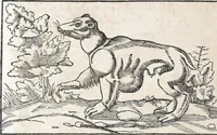 Picture 64 of 122 from Heydenweldt Vnd [und] irer Götter anfängcklicher vrsprung [Ursprung]: durch was verwhänungen den selben etwas vermeynter macht zugemessen, vmb dero wille[n], sie von den alten verehert worden ... (1554), leaf 428