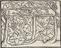 Picture 65 of 122 from Heydenweldt Vnd [und] irer Götter anfängcklicher vrsprung [Ursprung]: durch was verwhänungen den selben etwas vermeynter macht zugemessen, vmb dero wille[n], sie von den alten verehert worden ... (1554), leaf 442