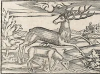 Picture 68 of 122 from Heydenweldt Vnd [und] irer Götter anfängcklicher vrsprung [Ursprung]: durch was verwhänungen den selben etwas vermeynter macht zugemessen, vmb dero wille[n], sie von den alten verehert worden ... (1554), leaf 462