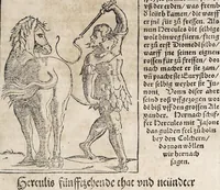 Picture 70 of 122 from Heydenweldt Vnd [und] irer Götter anfängcklicher vrsprung [Ursprung]: durch was verwhänungen den selben etwas vermeynter macht zugemessen, vmb dero wille[n], sie von den alten verehert worden ... (1554), leaf 465