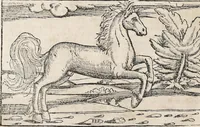 Picture 74 of 122 from Heydenweldt Vnd [und] irer Götter anfängcklicher vrsprung [Ursprung]: durch was verwhänungen den selben etwas vermeynter macht zugemessen, vmb dero wille[n], sie von den alten verehert worden ... (1554), leaf 476