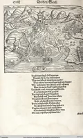 Picture 75 of 122 from Heydenweldt Vnd [und] irer Götter anfängcklicher vrsprung [Ursprung]: durch was verwhänungen den selben etwas vermeynter macht zugemessen, vmb dero wille[n], sie von den alten verehert worden ... (1554), leaf 478