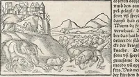 Picture 78 of 122 from Heydenweldt Vnd [und] irer Götter anfängcklicher vrsprung [Ursprung]: durch was verwhänungen den selben etwas vermeynter macht zugemessen, vmb dero wille[n], sie von den alten verehert worden ... (1554), leaf 488