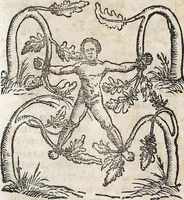 Picture 80 of 122 from Heydenweldt Vnd [und] irer Götter anfängcklicher vrsprung [Ursprung]: durch was verwhänungen den selben etwas vermeynter macht zugemessen, vmb dero wille[n], sie von den alten verehert worden ... (1554), leaf 496
