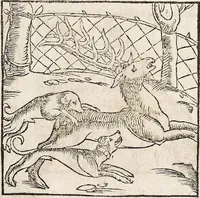 An illustration from Heydenweldt Vnd [und] irer Götter anfängcklicher vrsprung [Ursprung]: durch was verwhänungen den selben etwas vermeynter macht zugemessen, vmb dero wille[n], sie von den alten verehert worden ... (1554)