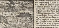 Picture 109 of 122 from Heydenweldt Vnd [und] irer Götter anfängcklicher vrsprung [Ursprung]: durch was verwhänungen den selben etwas vermeynter macht zugemessen, vmb dero wille[n], sie von den alten verehert worden ... (1554), leaf 555