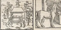 Picture 114 of 122 from Heydenweldt Vnd [und] irer Götter anfängcklicher vrsprung [Ursprung]: durch was verwhänungen den selben etwas vermeynter macht zugemessen, vmb dero wille[n], sie von den alten verehert worden ... (1554), leaf 568