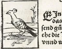 Picture 121 of 122 from Heydenweldt Vnd [und] irer Götter anfängcklicher vrsprung [Ursprung]: durch was verwhänungen den selben etwas vermeynter macht zugemessen, vmb dero wille[n], sie von den alten verehert worden ... (1554), leaf 704