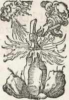 Picture 122 of 122 from Heydenweldt Vnd [und] irer Götter anfängcklicher vrsprung [Ursprung]: durch was verwhänungen den selben etwas vermeynter macht zugemessen, vmb dero wille[n], sie von den alten verehert worden ... (1554), leaf 710