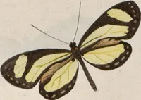 Picture 3 of 216 from (Band 1) (1806), leaf 10