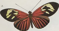 An illustration from (Band 1) (1806)