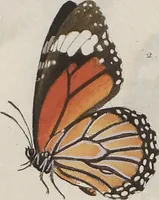 An illustration from (Band 1) (1806)