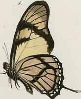 An illustration from (Band 2) (1806)