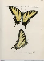An illustration from (Band 2) (1806)