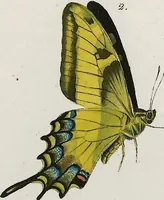 Picture 94 of 179 from (Band 2) (1806), leaf 106