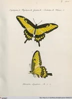 An illustration from (Band 2) (1806)