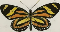 An illustration from (Band 2) (1806)