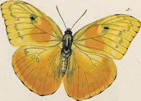 An illustration from (Band 2) (1806)