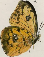 An illustration from (Band 2) (1806)
