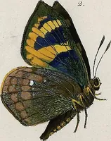 Picture 130 of 179 from (Band 2) (1806), leaf 146