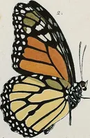 An illustration from (Band 2) (1806)