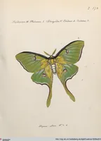 An illustration from (Band 2) (1806)