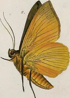 An illustration from (Band 2) (1806)