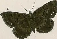 An illustration from (Band 2) (1806)