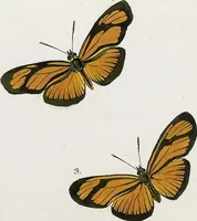 An illustration from (Band 2) (1806)