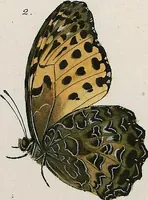 An illustration from (Band 2) (1806)