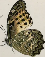 An illustration from (Band 2) (1806)