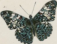 Picture 25 of 179 from (Band 2) (1806), leaf 48