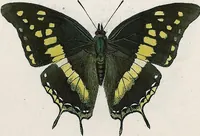 An illustration from (Band 2) (1806)