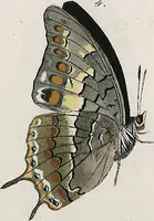 An illustration from (Band 2) (1806)