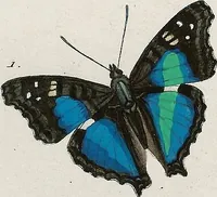An illustration from (Band 2) (1806)