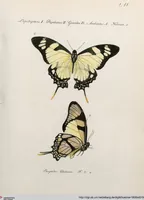 An illustration from (Band 2) (1806)