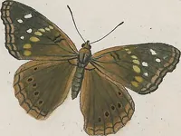 An illustration from (Band 3) (1806)