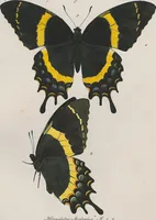 An illustration from (Band 3) (1806)